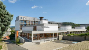  Centre International de Séjour André Wogenscky  Сент-Этьен